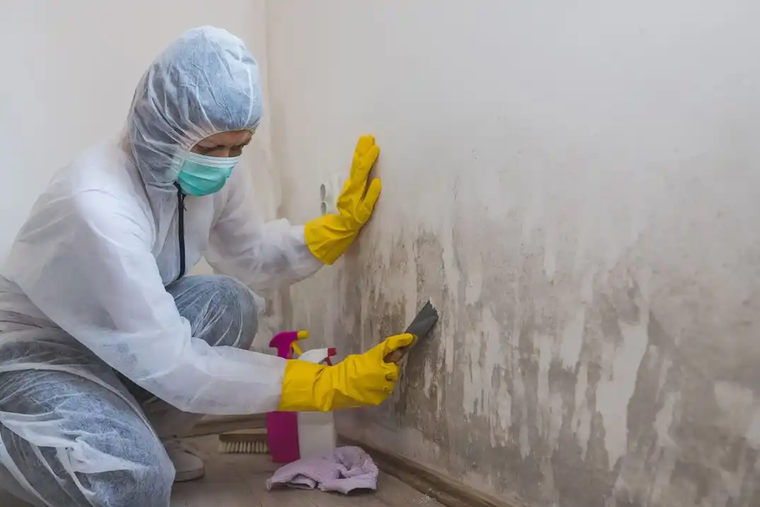 water damage restoration service West Albany